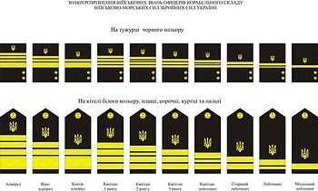 Звания судебных приставов: какие различия в их повседневной работе?