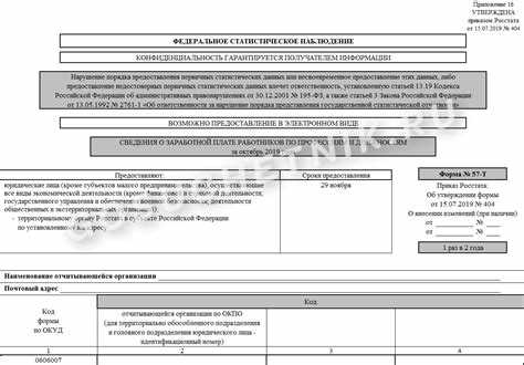 Отчет п 2 статистика кто сдает