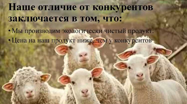 Распределение ролей в группе: определяем, кто подстрекатель, а кто пособник на практике
