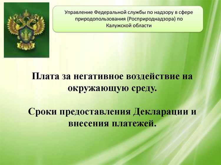 Плата за негативное воздействие на окружающую среду в какой бюджет