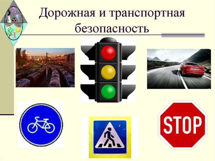 Задачи подразделений транспортной безопасности в разных отраслях