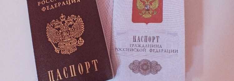 Порядок обновления данных в налоговых органах