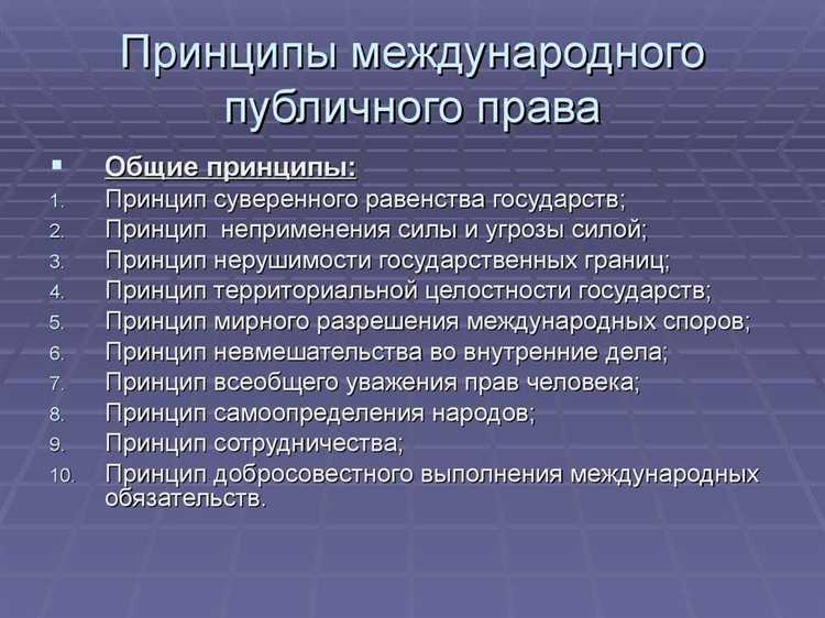 Основные принципы международного права: определение и значение