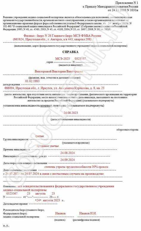 Справка мсэ что это такое