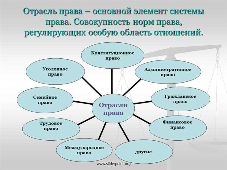Основные элементы системы отрасли права и их взаимосвязь