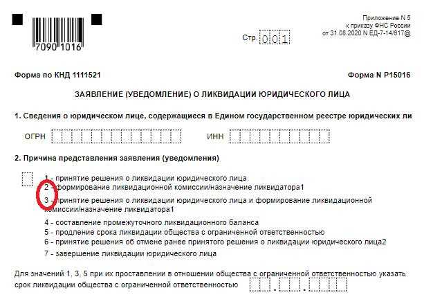 Как избежать ошибок при указании срока ликвидации в форме