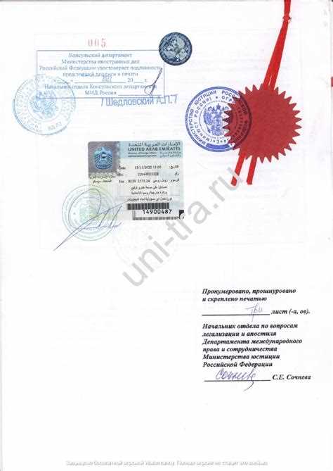 Основные виды свидетельств, выданных консульством РФ