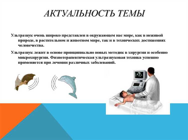 В какой документации указывается необходимость проведения и объем ультразвукового и радионуклидного В какой документации указывается необходимость проведения и объем ультразвукового и радионуклидного