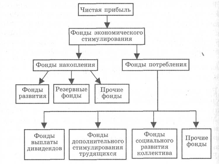 Правовые сроки для утверждения дивидендов по уставу компании